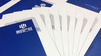專業(yè)企業(yè)畫(huà)冊(cè)設(shè)計(jì)制作——百鉑文化助力成都企業(yè)品牌傳播