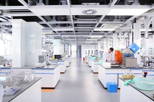 魯 力同行創(chuàng)佳績(jī),再譜援藏新篇章 山東第九批援藏工作紀(jì)實(shí)